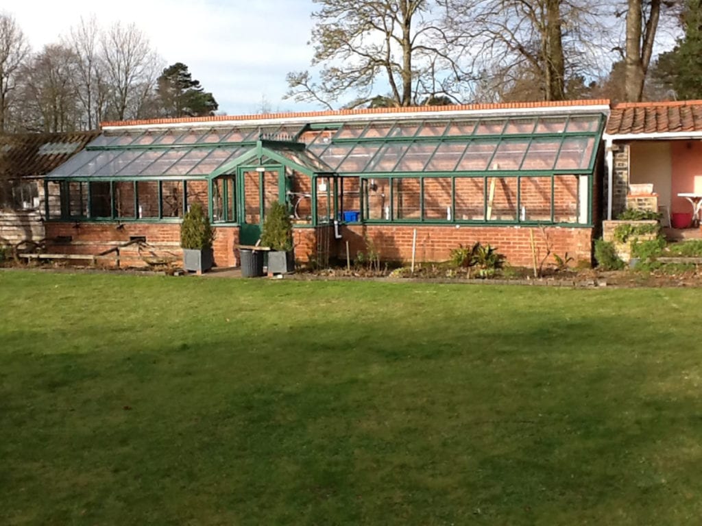 Lean-to aluminium greenhouse in Norfolk