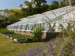 Victorian wooden greenhouse replacement in Surrey