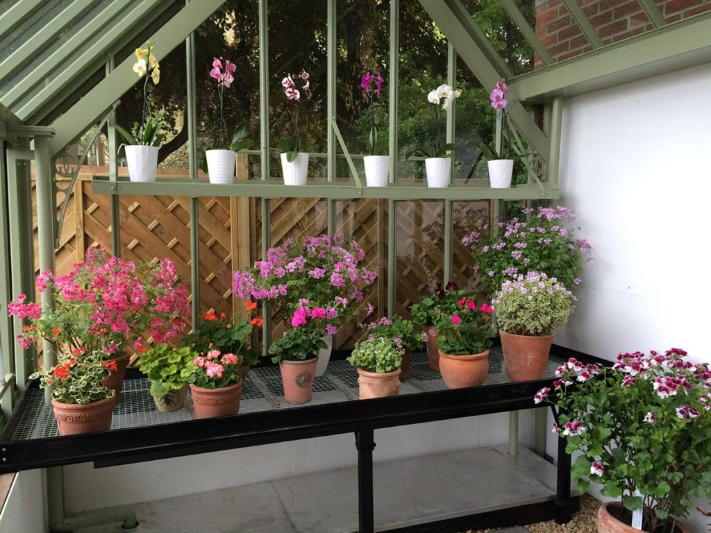 Victorian greenhouse bench