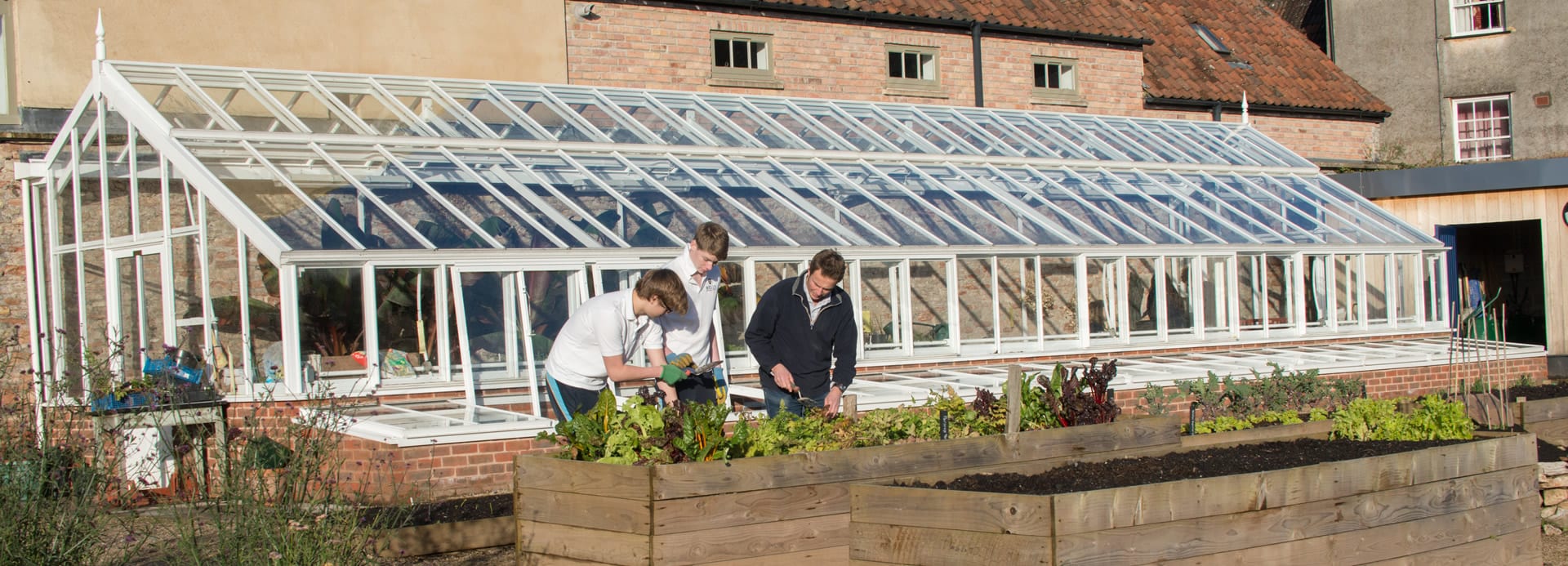 Large bespoke 3/4 span greenhouse