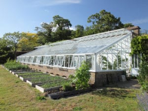 Large traditional Victorian lean-to greenhouse in Surrey