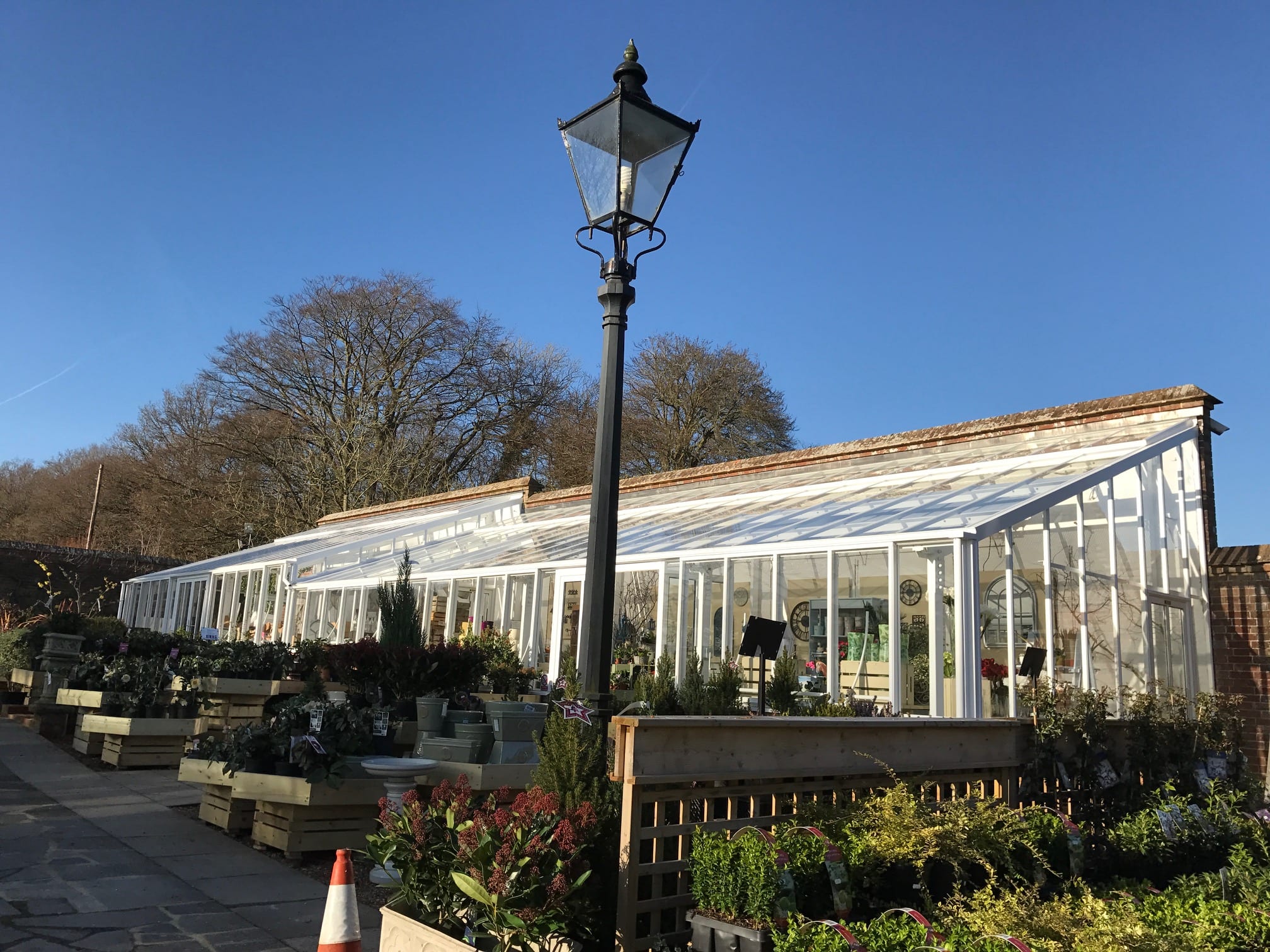 New Griffin Glasshouse at Orchard Nursery 3