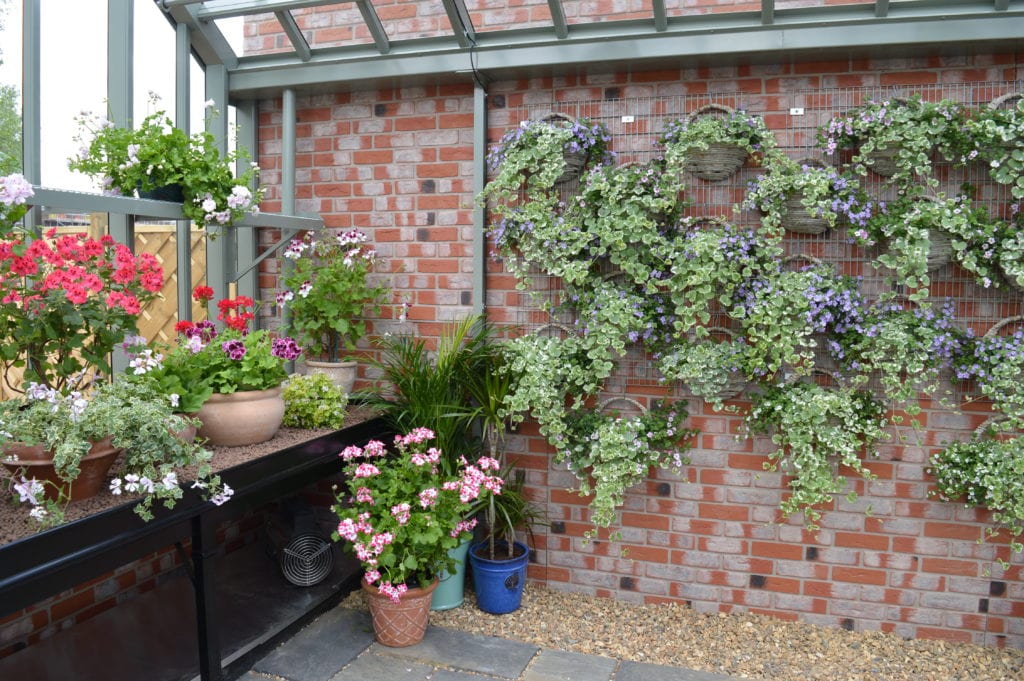 Victorian greenhouse benching and folding shelves