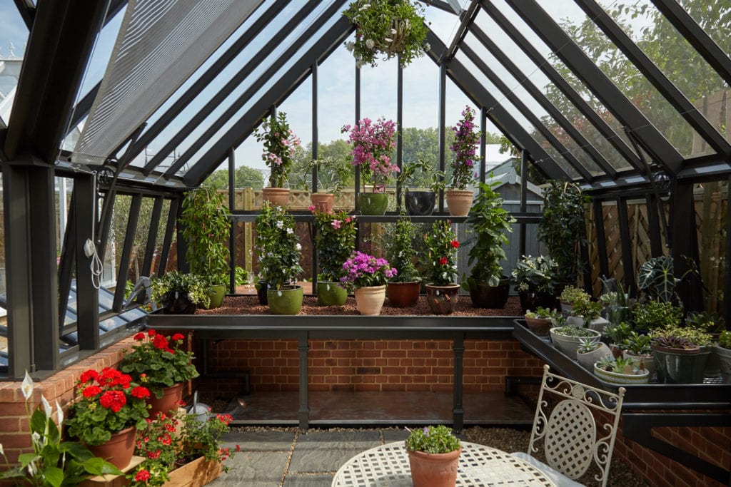 an interior of a glass greenhouse with plants