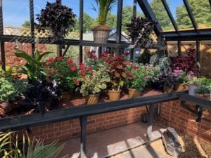 Hampton Court Victorian Greenhouse