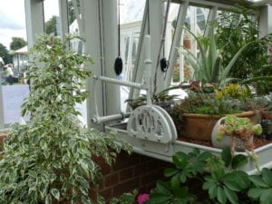 victorian greenhouse interior