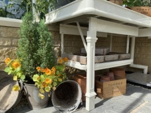 victorian greenhouse interior